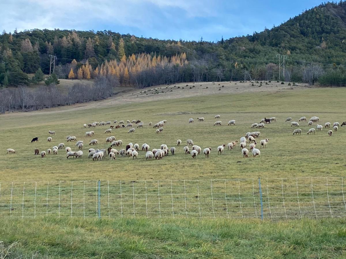 Superbe Ferme Renovee En Chalet De Luxe En Pleine Nature Barcelonnette Exterior foto